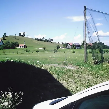 Rosenalm 231 *